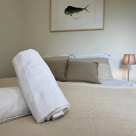 Appartement Les Pins D'eugénie T2 Direct
