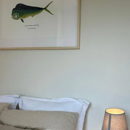 Les Pins D'eugénie T2 Direct Appartement *