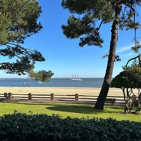 Les Pins D'eugénie T2 Direct Appartement